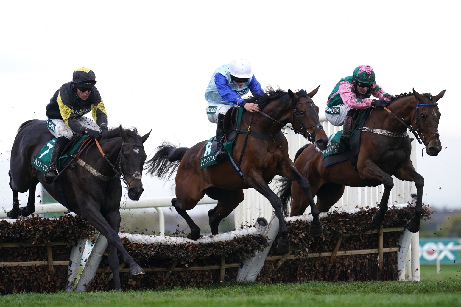 Hundreds of activists plan to disrupt Grand National 