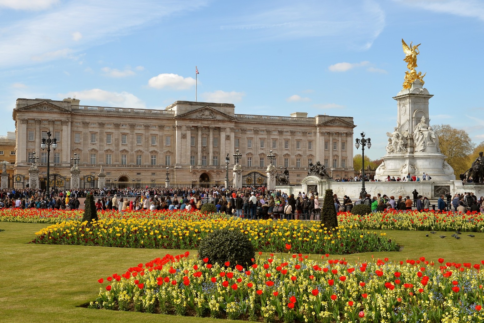 Covid experts to receive honours at Buckingham Palace 