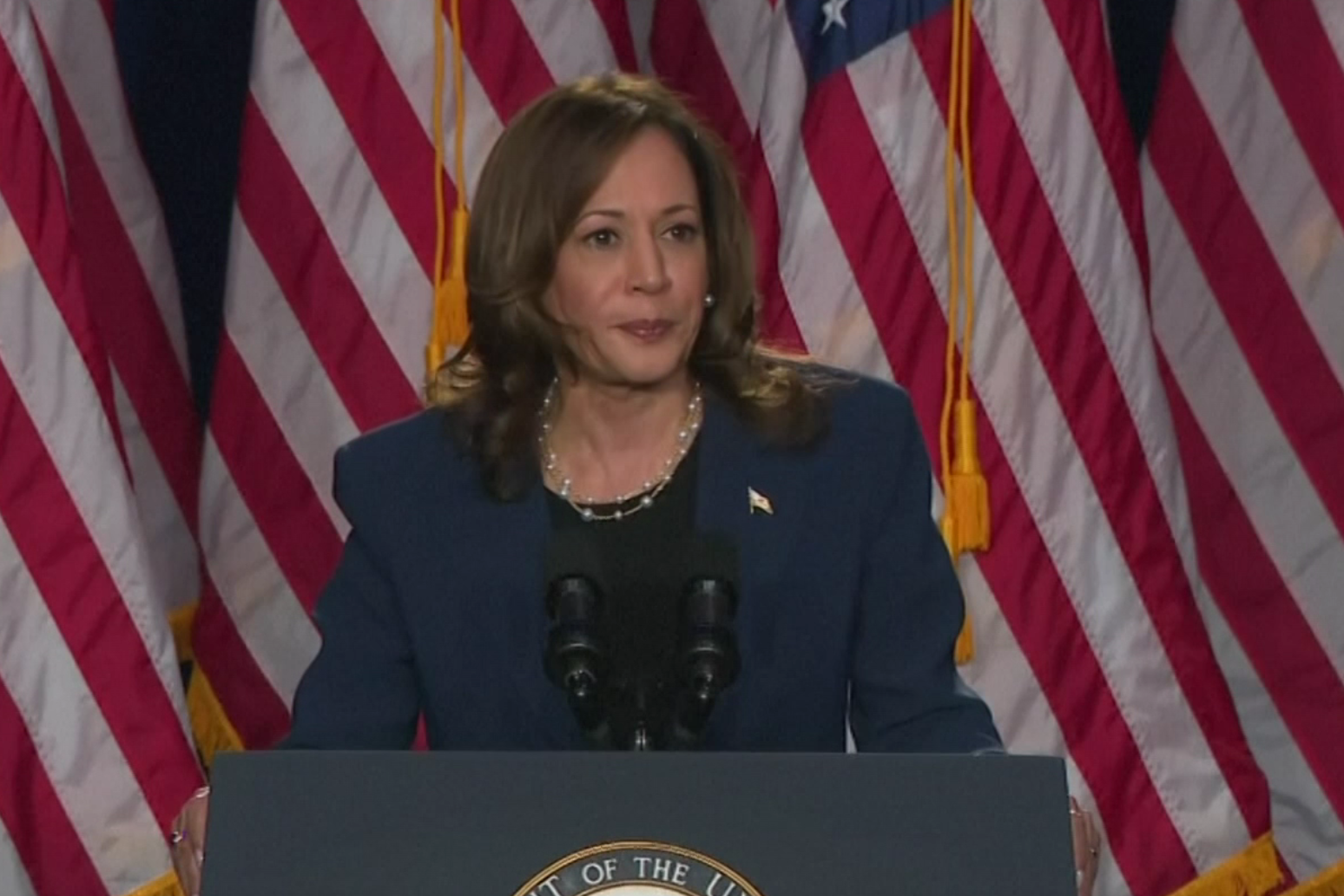 Kamala Harris kicks off campaign for US president 