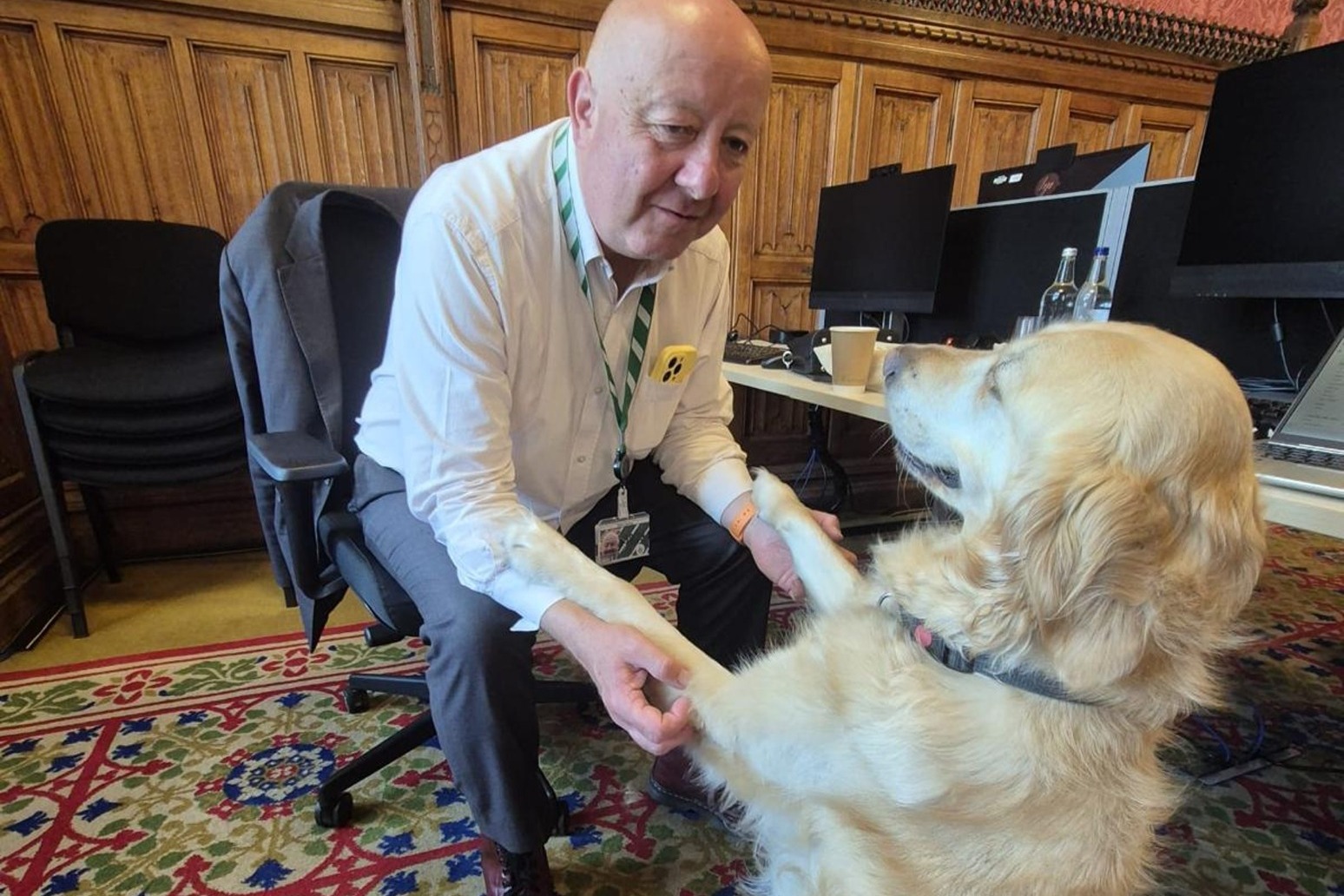 Parliamentary pup Jennie loves a ‘good lie down’ in the Commons chamber 