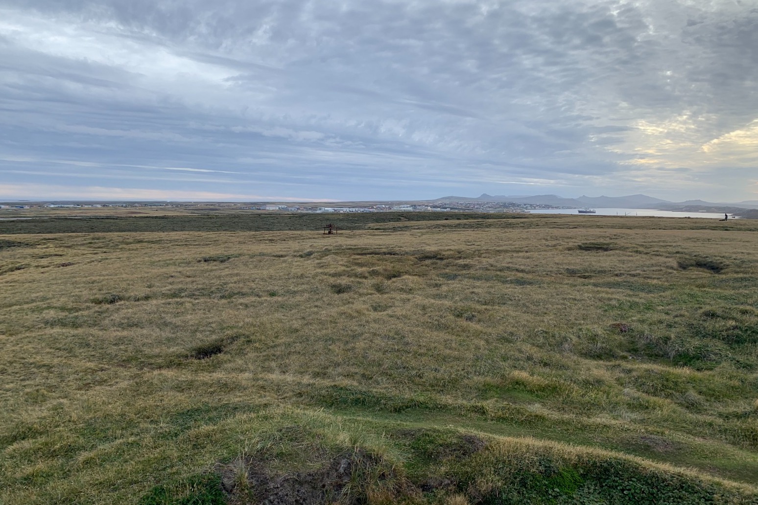 Falkland Islands ‘were covered in lush rainforest up to 30 million years ago’ 