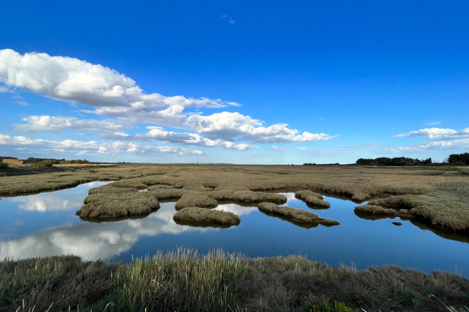 Government urged to launch industry-specific plans to restore nature 